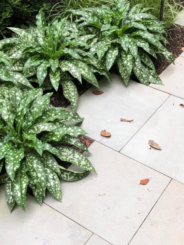 Details of a stone pathway and plantings alongside it from a landscape design by Landbox Landscape Architecture Studio