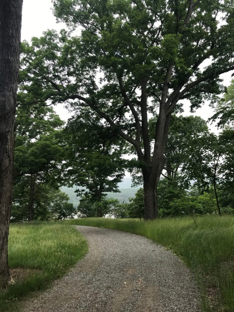 A path through the trees in a landscape design by Landbox Landscape Architecture Studio